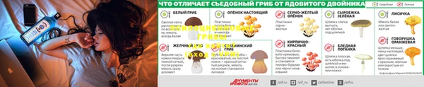 бутират Арсеньев