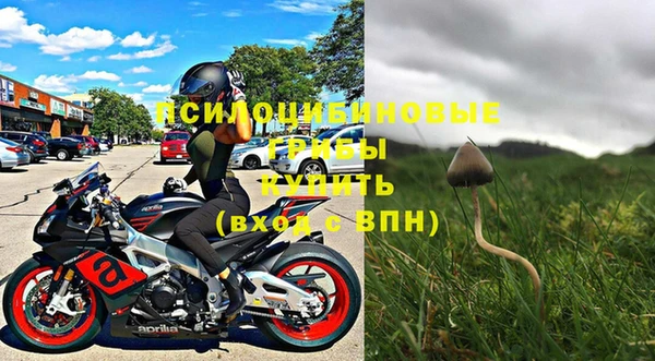не бодяженный Аркадак