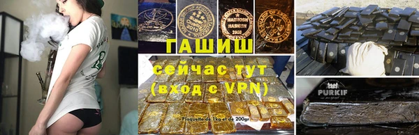 индика Няндома