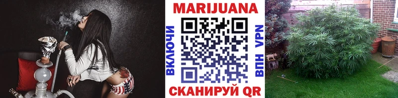 Конопля ГИДРОПОН Семёнов